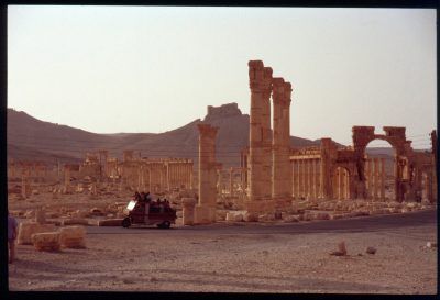 Palmyra at sunset