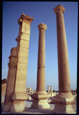 Palmyra