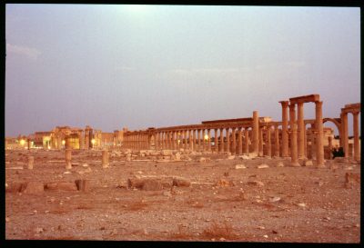 Palmyra at sunset